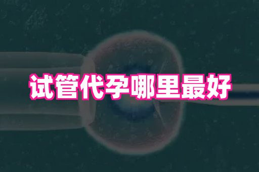 河南助孕网站 1