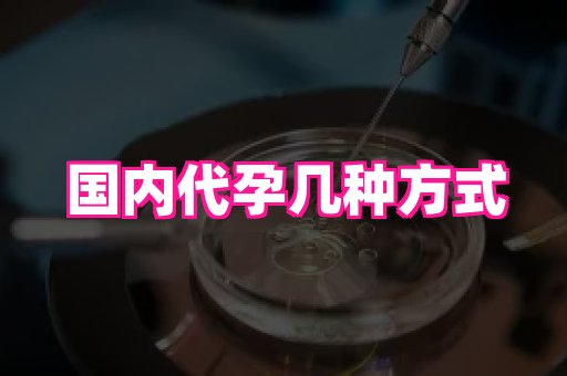 河南助孕网站 2