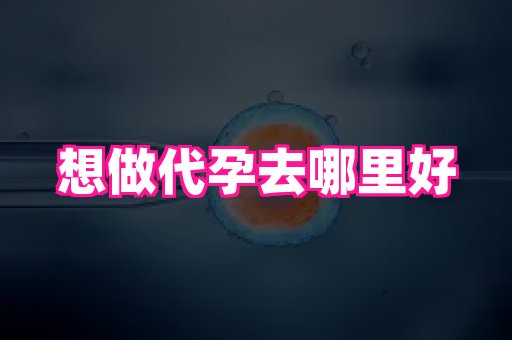 河南助孕网站 4